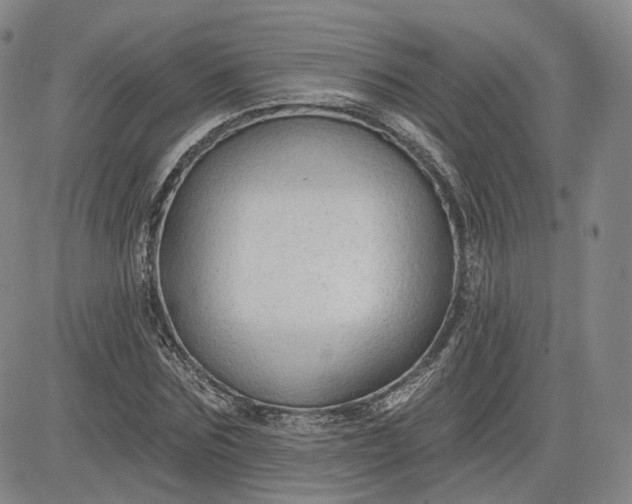 X0000083610875200702260925