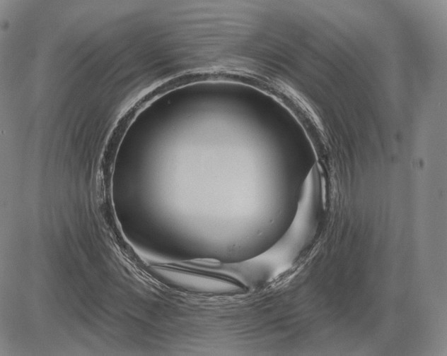 X0000083610876200702260925