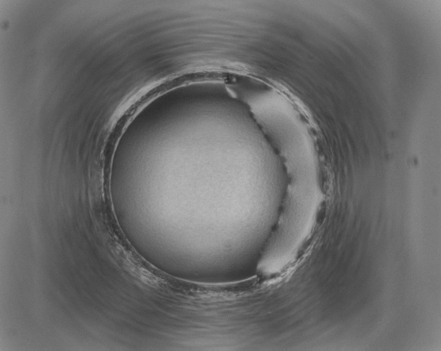 X0000083610877200702260925