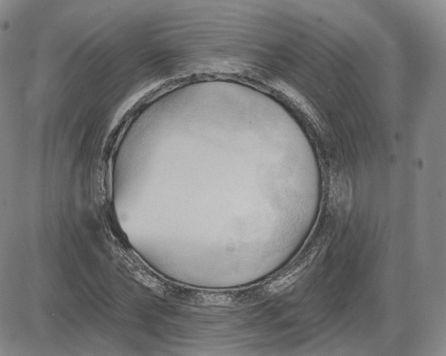 X0000083610878200702260925