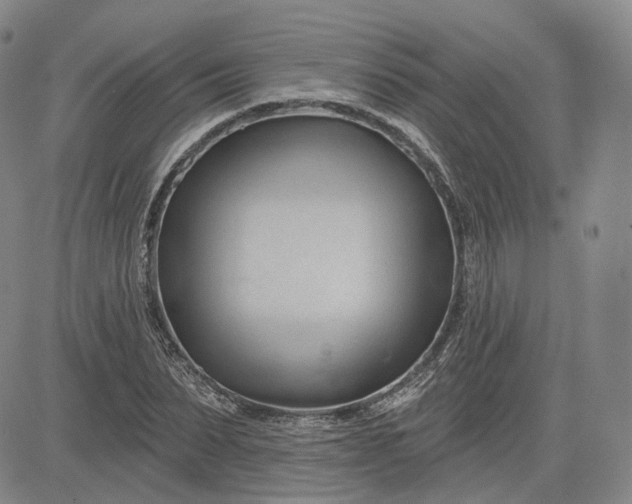 X0000083610879200702260925