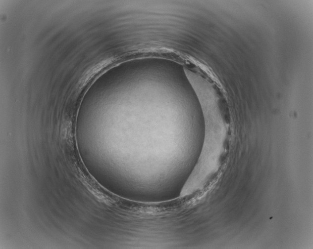 X0000083610881200702260925