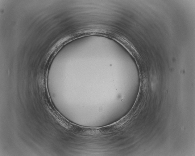 X0000083610882200702260925