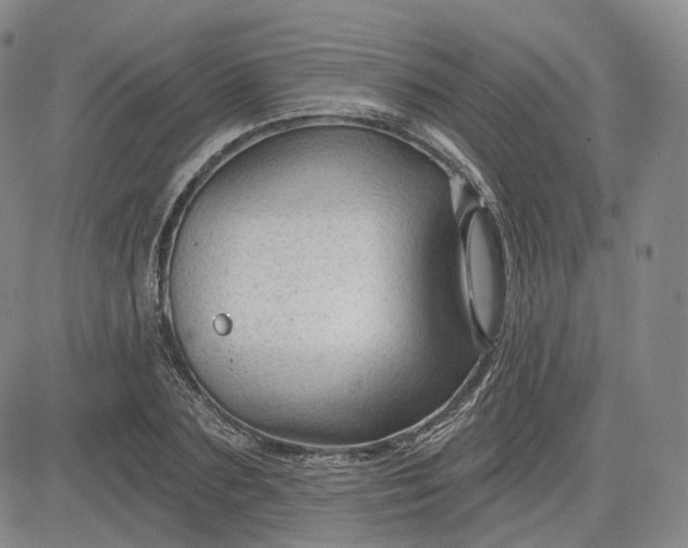 X0000083610883200702260925