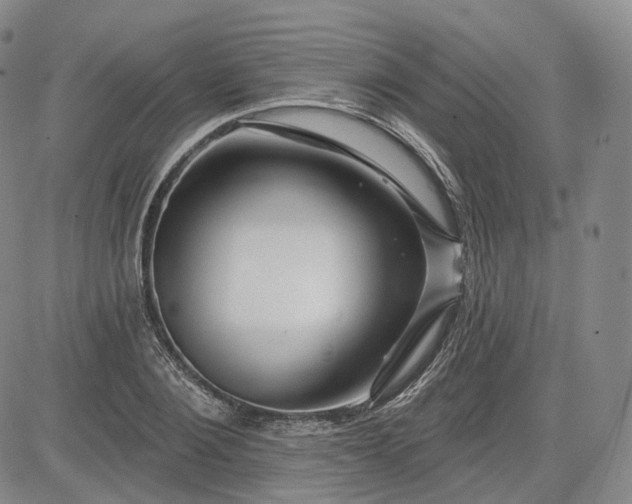 X0000083610884200702260925