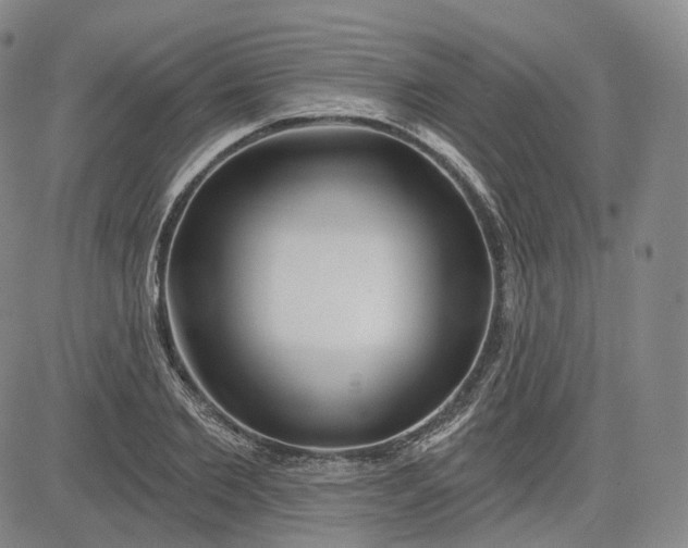 X0000083610885200702260925