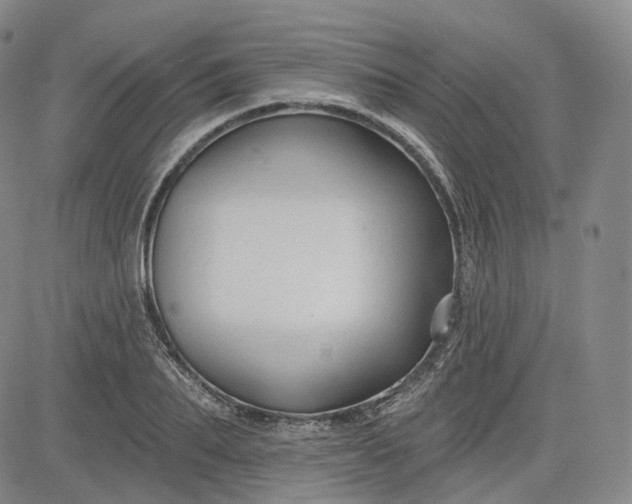 X0000083610887200702260925