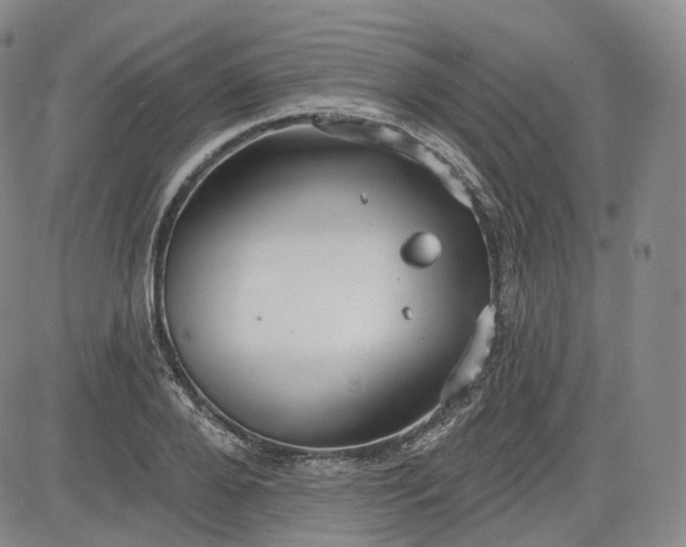 X0000083610888200702260925