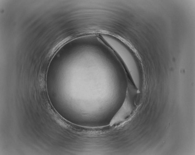 X0000083610889200702260925