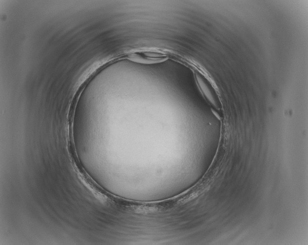 X0000083610890200702260925