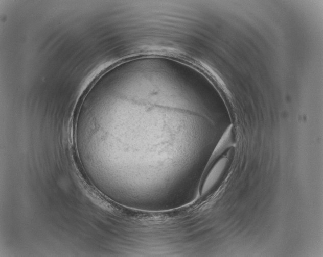 X0000083610891200702260925