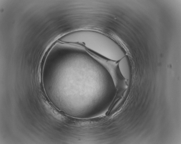 X0000083610892200702260925