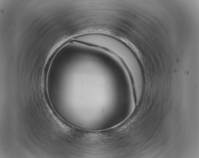 X0000083610894200702260925