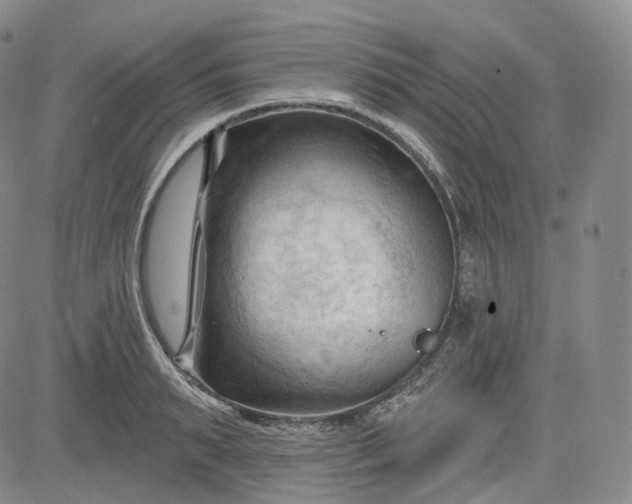 X0000083610895200702260925