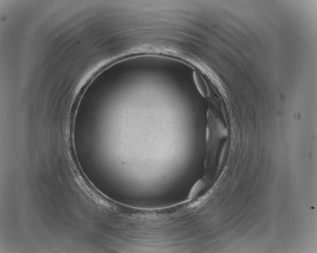 X0000083610896200702260925