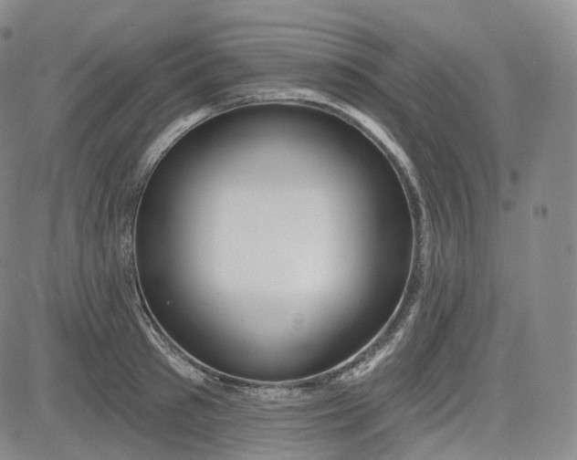 X0000083610897200702260925