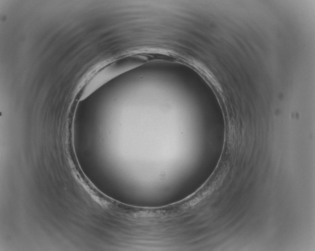 X0000083610898200702260925