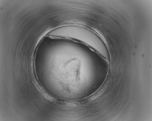 X0000083610899200702260925