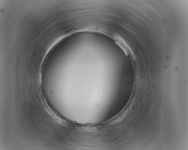 X0000083610900200702260925