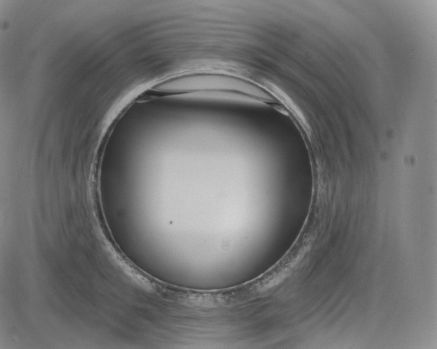 X0000083610901200702260925