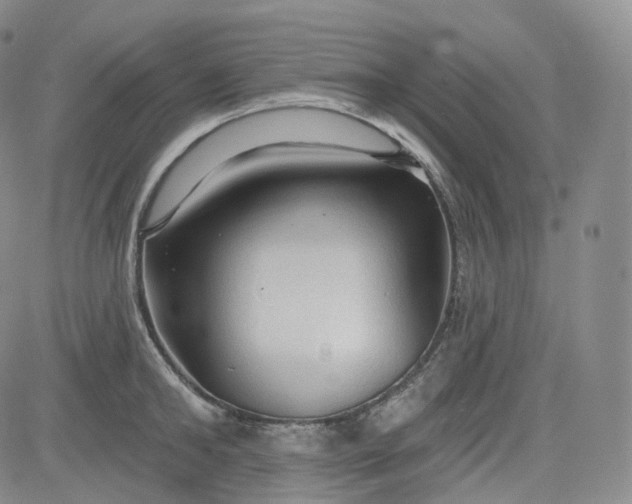 X0000083610902200702260925