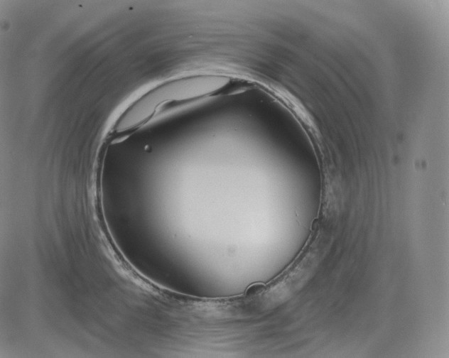 X0000083610904200702260925