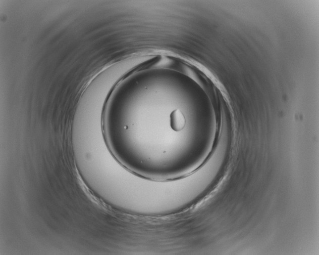 X0000083610905200702260925