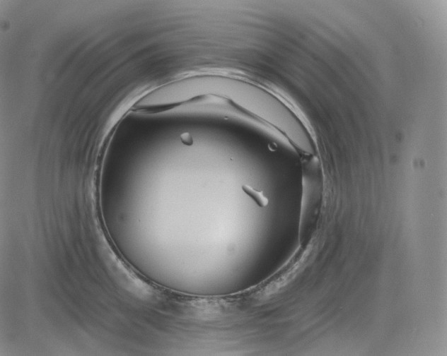 X0000083610906200702260925