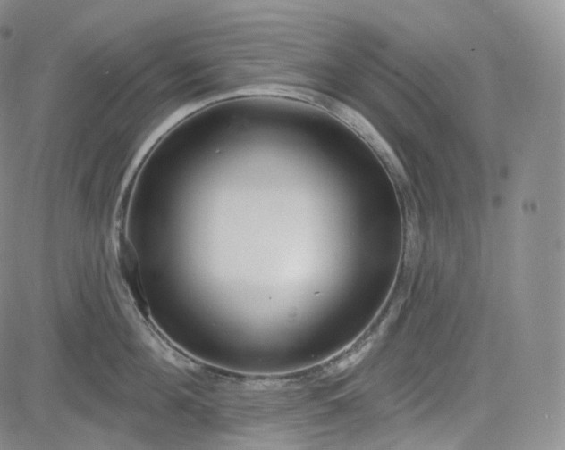 X0000083610908200702260925