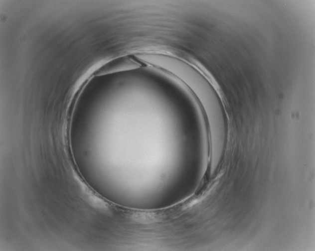 X0000083610909200702260925