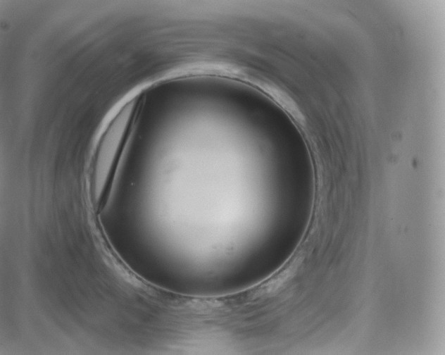 X0000083610912200702260924