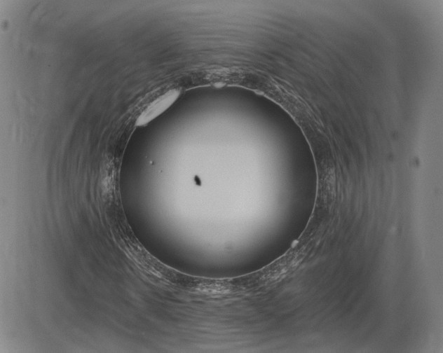 X0000083610914200702260924