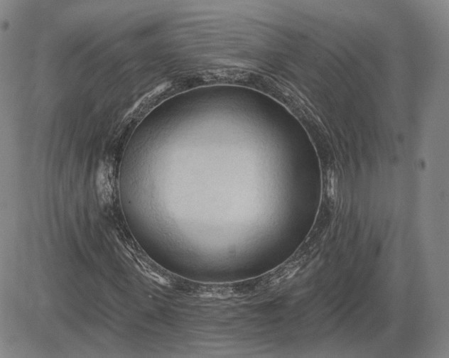 X0000083610915200702260924