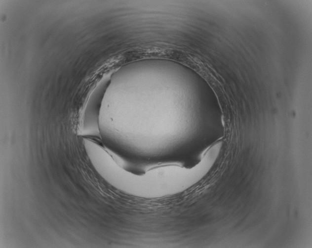 X0000083610916200702260924