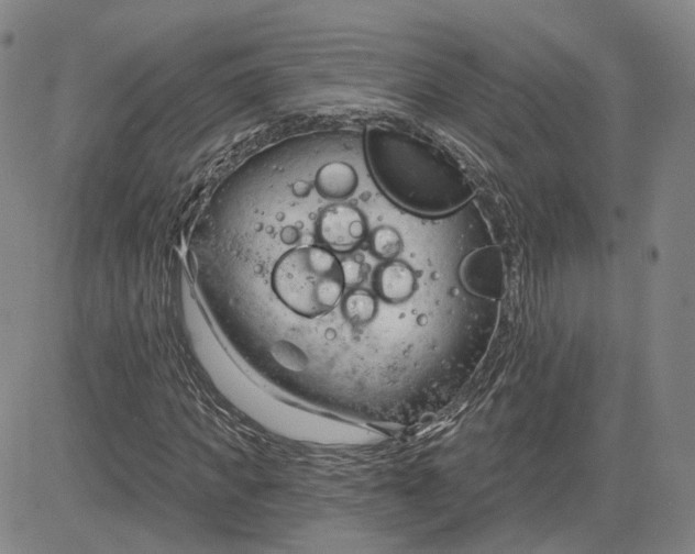 X0000083610917200702260924