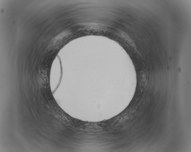 X0000083610918200702260924