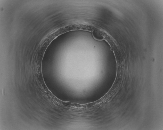 X0000083610919200702260924