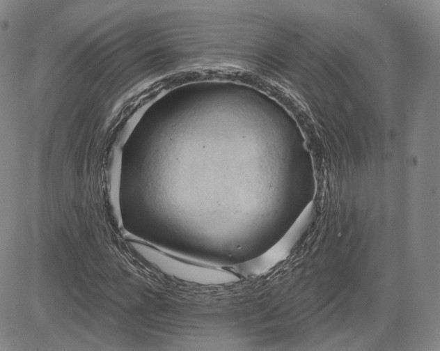 X0000083610920200702260924