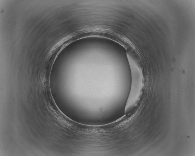 X0000083610922200702260924