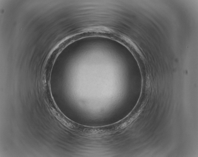 X0000083610923200702260924