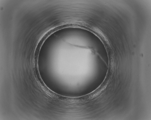 X0000083610924200702260924