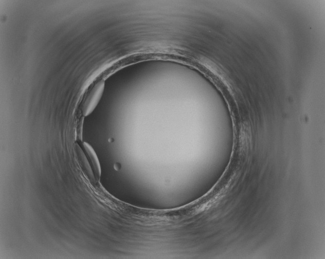 X0000083610925200702260924