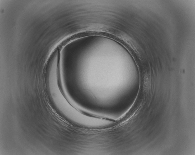 X0000083610926200702260924