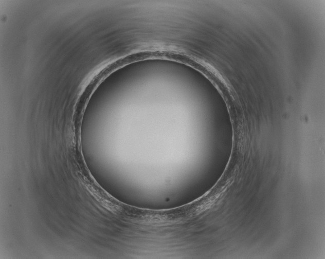 X0000083610927200702260924