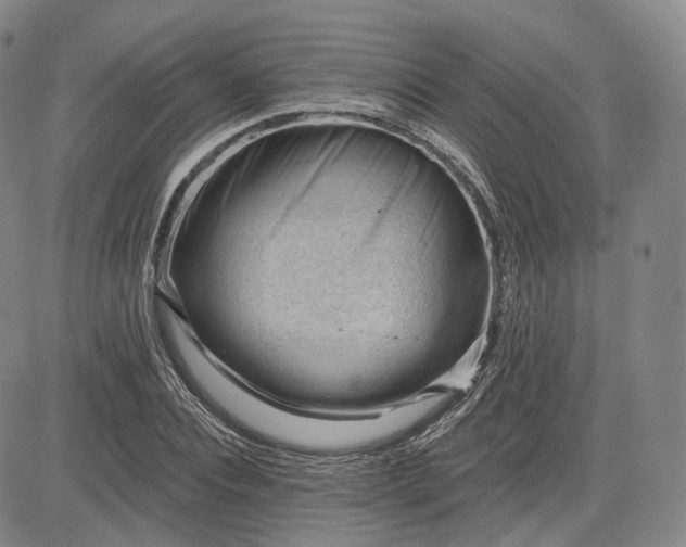 X0000083610928200702260924