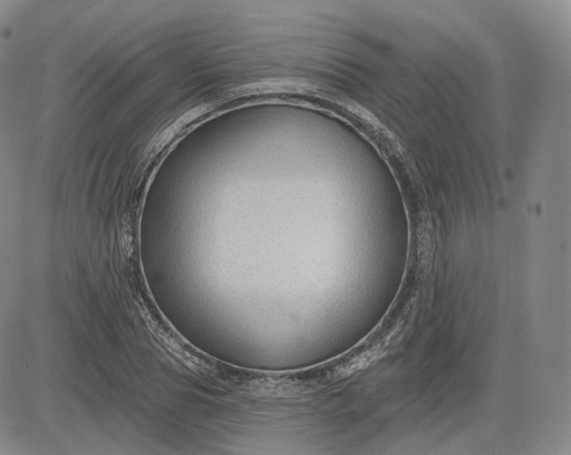 X0000083610929200702260924