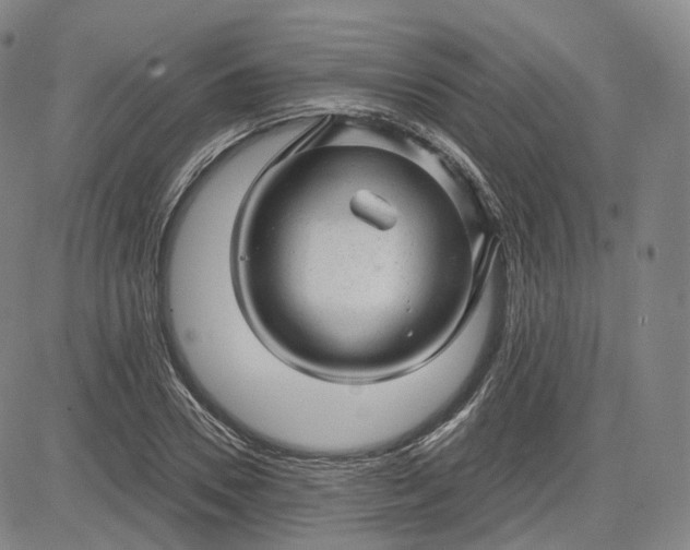 X0000083610930200702260924