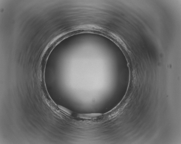 X0000083610931200702260924