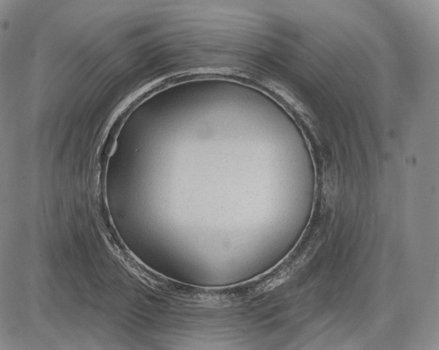 X0000083610933200702260924