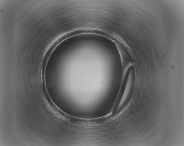 X0000083610934200702260924